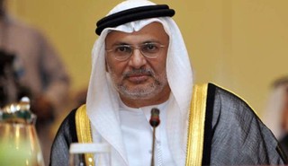 چاپلوسی وزیر اماراتی برای آل سعود