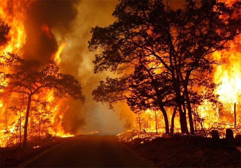 جنگل‌ها و مراتع شهرستان پلدختر در آتش سوخت 