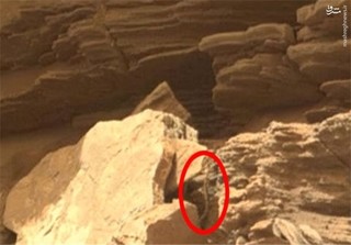 کشف موجود زنده شبیه مار روی کره مریخ +عکس