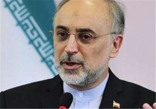 صالحی:ایران یک "کشور ـ موزه" بزرگ است/سازمان انرژی اتمی در کنار میراث فرهنگی خواهد بود