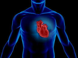 قلب 80 درصد از مردم مسن‌تر از سن شناسنامه‌ای آنهاست