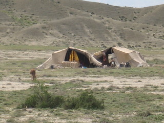 نیمی از عشایر کل کشور تحت پوشش بیمه اجتماعی قرار دارند