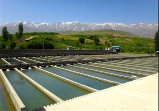 احداث نخستین پارک آبزی پروری کشور در البرز