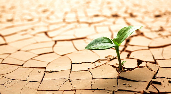 چهارمحال و بختیاری رتبه هفتم خشکسالی در کشور را داراست