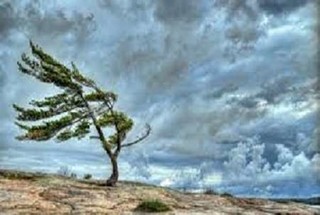 باد با سرعت ۹۰ کیلومتر سیستان و بلوچستان را درنوردید