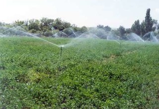 خشکسالی‌ها استفاده از سیستم‌های نوین آبیاری را به یک ضرورت تبدیل کرده است