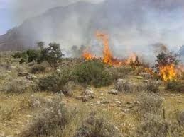 وقوع سه آتش سوزی در عرصه های طبیعی خراسان شمالی
