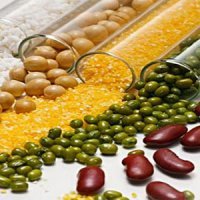  پروتئین گیاهی برای جلوگیری از گرسنگی