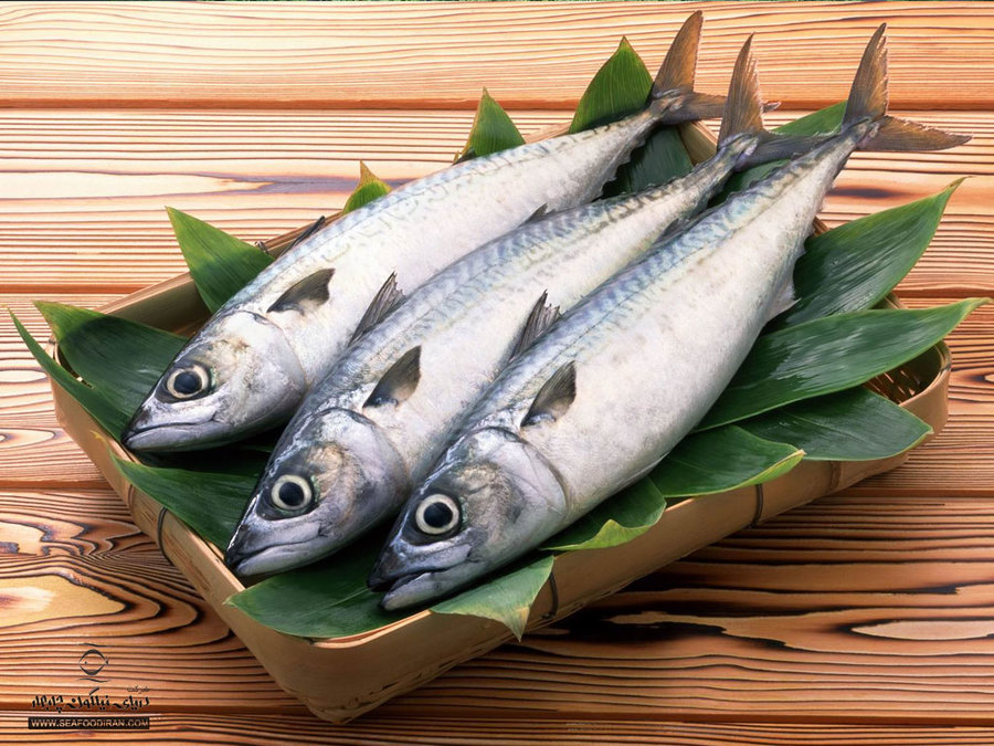 نخستین جشنواره طبخ ماهی در قصر شیرین برگزار شد