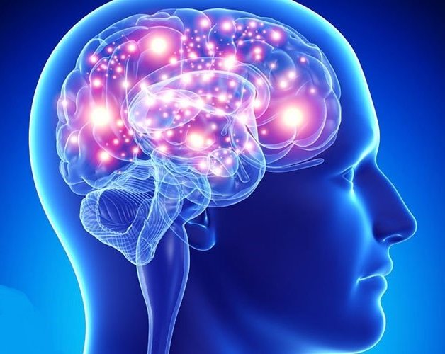 فیلم/ اطلاعات مفید و جالب در مورد مغز انسان
