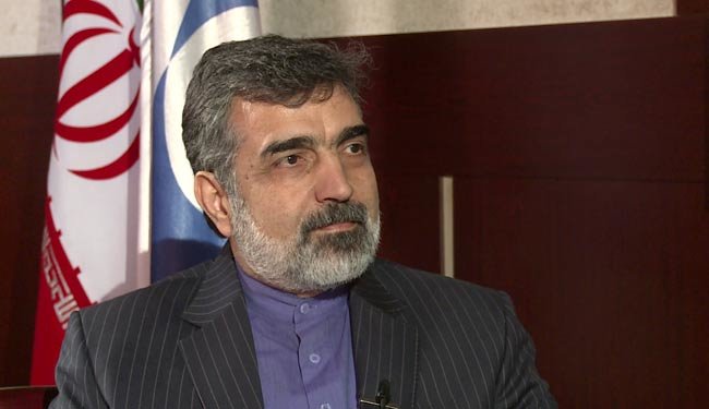 کمالوندی: ایران خود را برای هر شرایطی بعد از برجام آماده کرده است