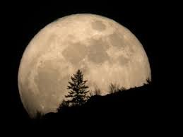 مشاهده رویداد نادر ماه افروختگی (ابر ماه) در شامگاه ۲۴ آبان ماه ۱۳۹۵
