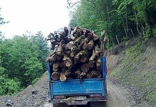 بیش از یک تن چوب جنگلی قاچاق در استان کشف شد