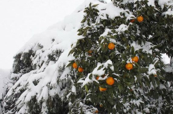 بارش برف تا جمعه در مازندران ادامه دارد