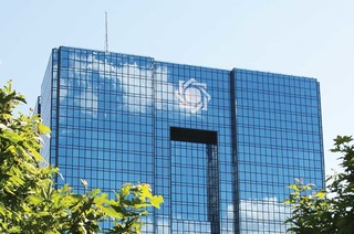 ناجا موظف به همکاری با بانک مرکزی برای تعطیلی موسسات مالی متخلف شد