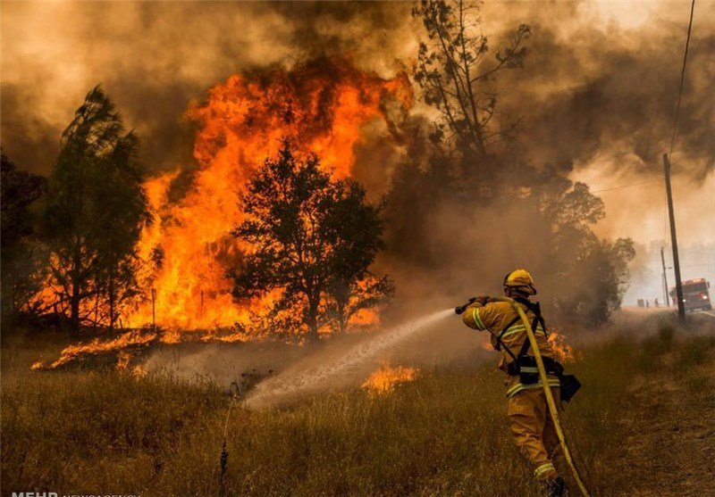وزش باد گرم و احتمال آتش‌سوزی در عرصه‌های جنگلی استان گیلان