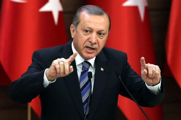 ادعای اردوغان در مورد کشتن ۱۸۰۰ عضو داعش