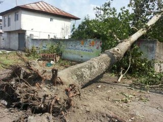 طوفان شدید شرق مازندران را درنوردید / برق تعدادی از روستاها قطع شده است