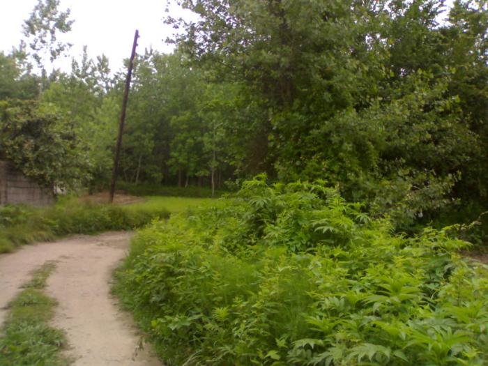 روستای«سیاه کوچه» بخش مرکزی آستانه اشرفیه در انتظار توجه مسوولان