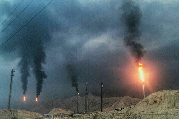 صنعت نفت منابع طبیعی بوشهر را تخریب کرده است