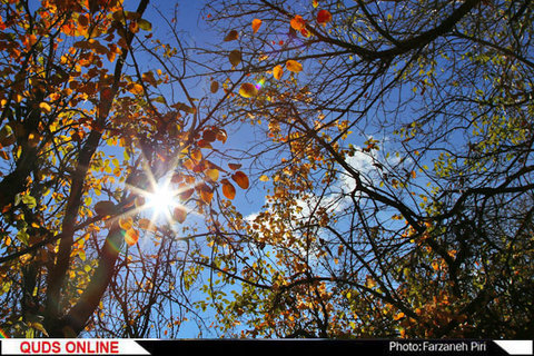 پاییز در محلات/گزارش تصویری