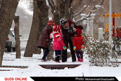 برف شادی بر چهره مشهد نشست