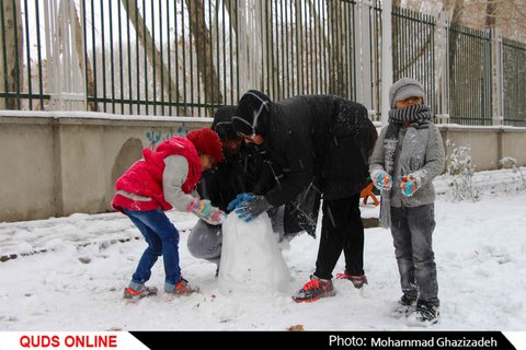 برف شادی بر چهره مشهد نشست