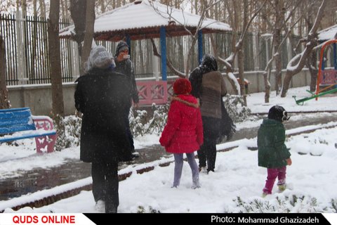 برف شادی بر چهره مشهد نشست