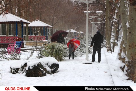 برف شادی بر چهره مشهد نشست