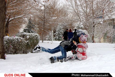 برف شادی بر چهره مشهد نشست