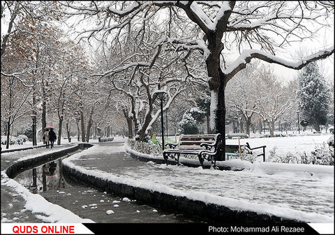 برف پاییزی در مشهد/گزارش تصویری
