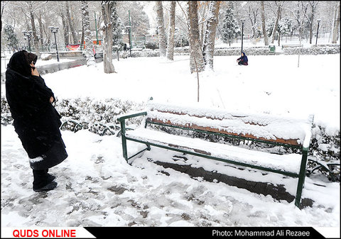 برف پاییزی در مشهد/گزارش تصویری