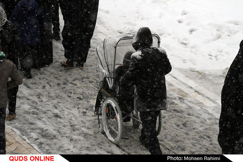 برف مشهد / گزارش تصویری 