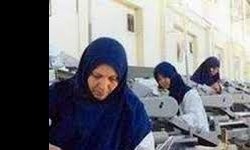 دو راهی شاغل‌بودن یا مادرشدن/ زنانی که همپای مردان می‌دوند
