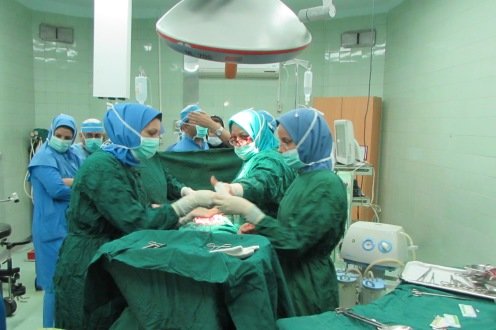 اهدای عضو به ۶ بیمار در مشهد زندگی دوباره بخشید
