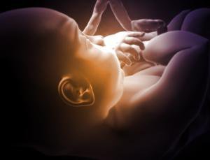 تدوین سازوکار کاهش نرخ سقط جنین