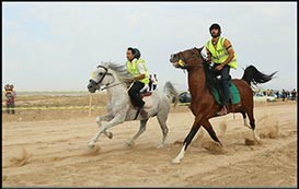 نبود پیست اسب دوانی دغدغه اصلی ورزشکاران خراسان شمالی است