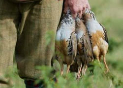 عاملان شکار ده‌ها قطعه پرنده وحشی دستگیر شدند


