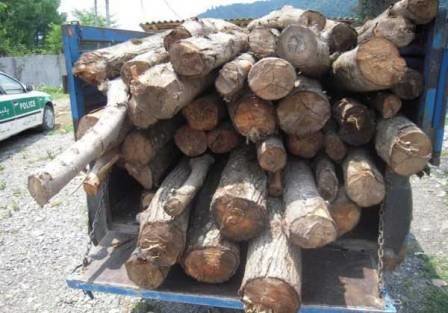 یک تن چوب آلات جنگلی قاچاق در سوادکوه کشف شد