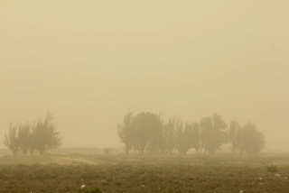 تصویب ۴ قطعنامه در سازمان ملل برای مقابله با پدیده گرد و غبار