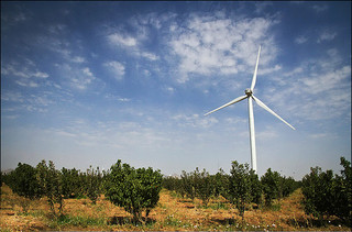 توانایی تولید برق از باد در سیستان بیشتر از ایالت سند در پاکستان است