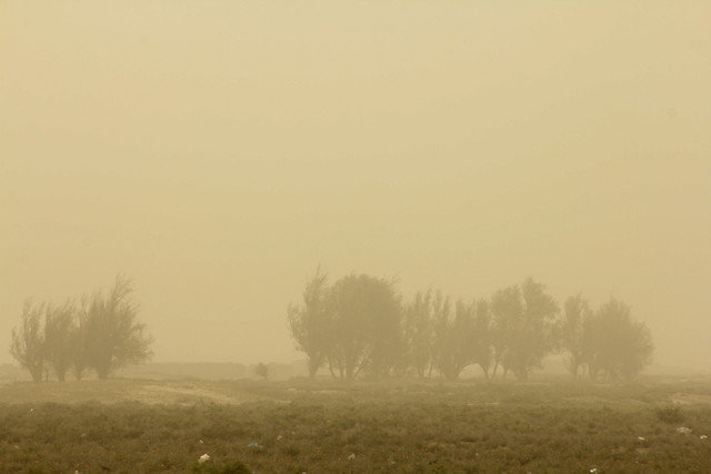 ایران، میزبان اجلاس بین‌المللی گرد و غبار