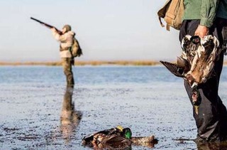ابراز تاسف از آمار ۹۰درصدی قتل عام پرندگان مهاجر در تالابهای کشور