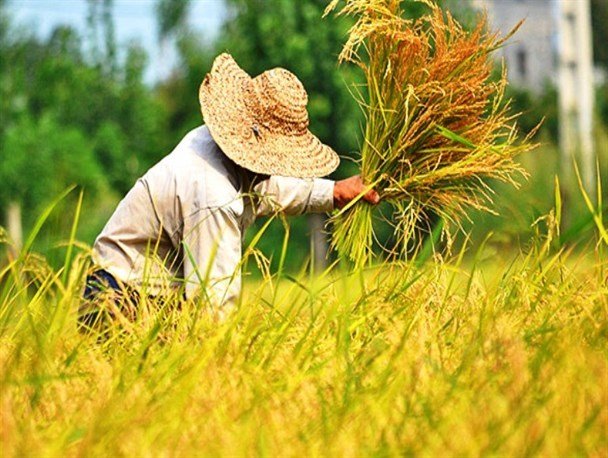 ۱۱ میلیارد و ۲۰۰ میلیون ریال برای کمک به محرومان اسفراین پرداخت شد