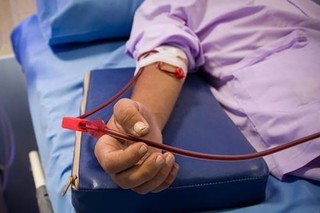 گروه خون ۹۰ درصد ایرانیها مثبت است/ سهم زنان از اهدای خون