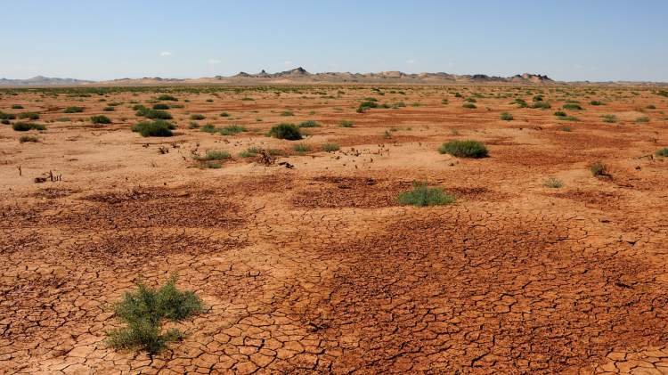 پوشش گیاهی در مناطق بیابانی ارومیه و طبس برای کاهش توفان‌های گرد و غبار