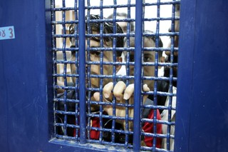 ۷ هزار اسیر فلسطینی در زندان های صهیونیستی به سر می برند
