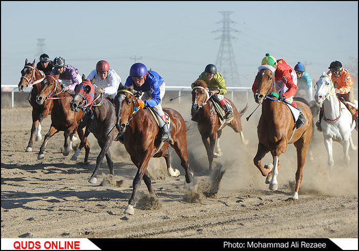 مسابقات کورس اسب دوانی قهرمانی کشور/گزارش تصویری