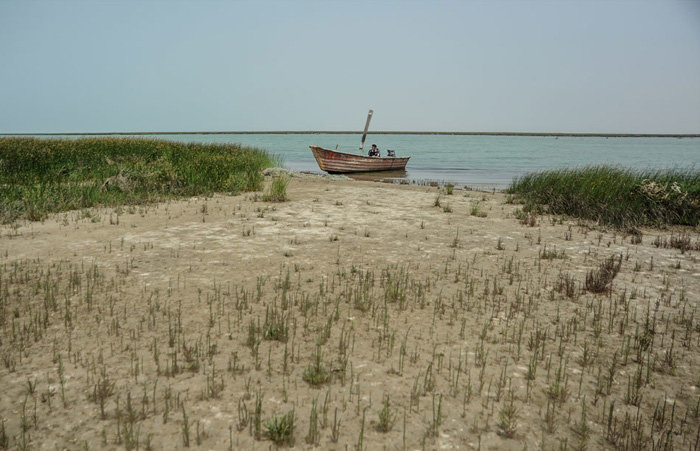 نجات خلیج گرگان مطالبه ملی شود/ هنوز برای خلیج گرگان سابقه مطالعاتی وجود ندارد