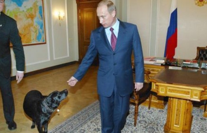 چرا سگ سیاه پوتین لحظه‌ای از او جدا نمی‌شود؟ + تصاویر